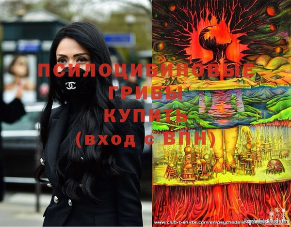 синтетический гашиш Алексеевка