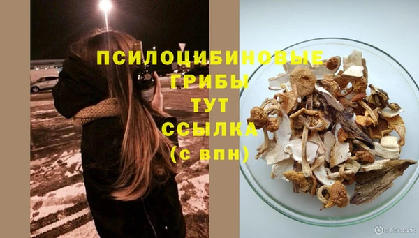 a pvp Алексин