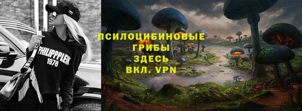 PSILOCYBIN Алзамай