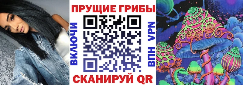 даркнет наркотические препараты  Нефтекумск  Псилоцибиновые грибы Magic Shrooms  наркота 